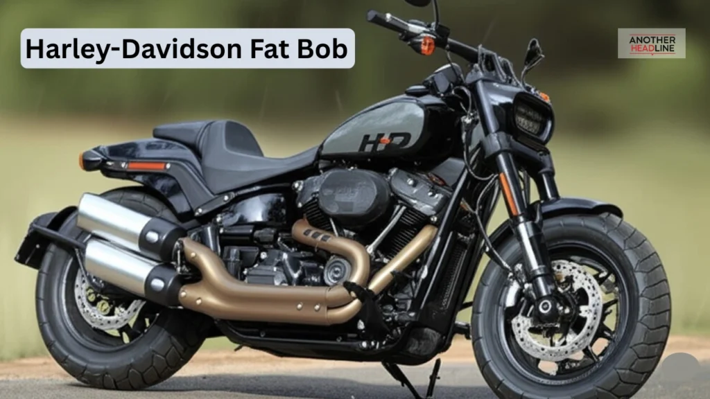harley-davidson-street-bob-bike-19-aug