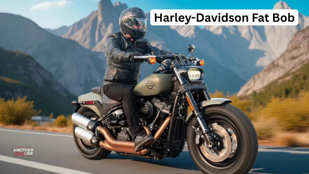 harley-davidson-street-bob-model-bike-19-aug